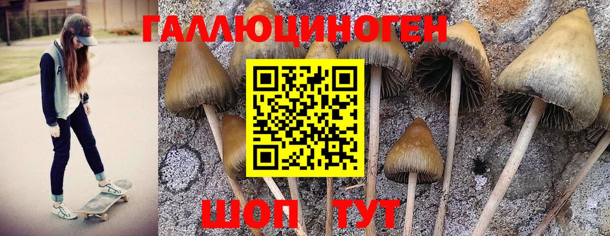 Галлюциногенные грибы Magic Shrooms Сатка