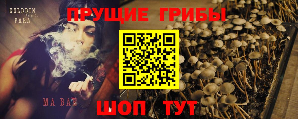 Галлюциногенные грибы Cubensis  Галлюциногенные грибы прущие грибы  Сатка  Вход с VPN 